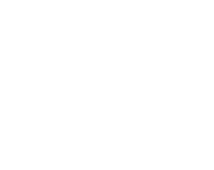 CT logo plus STA