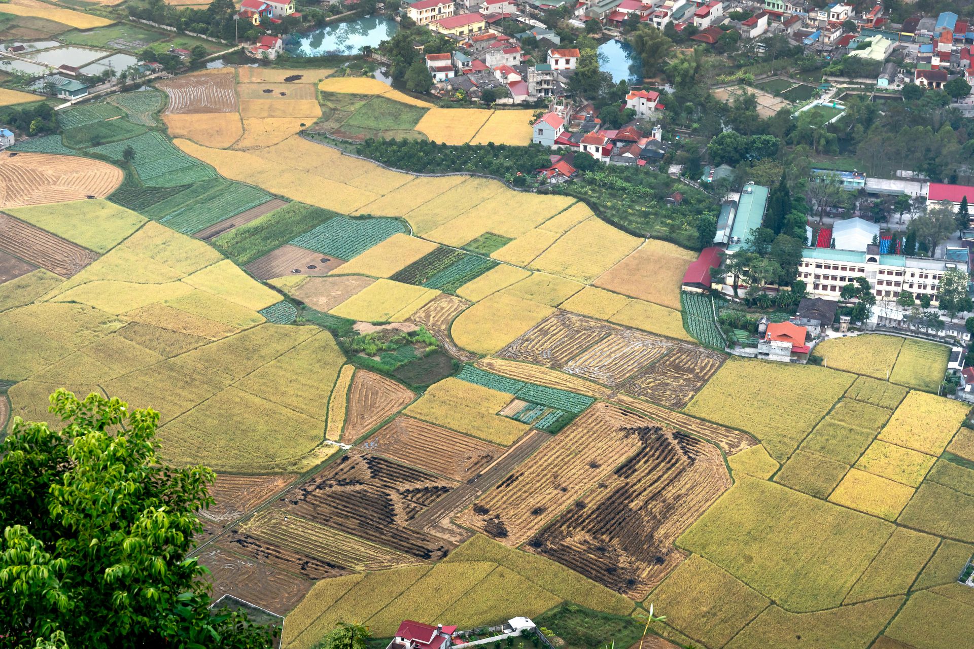 Land Mapping Victorville, CA 9098626326