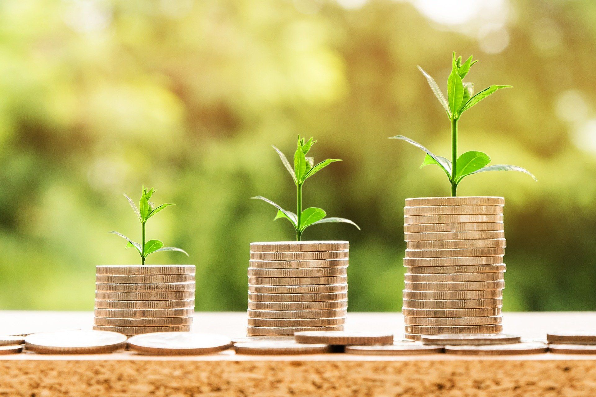 Three stacks of coins with plants growing out of them. Growing business.