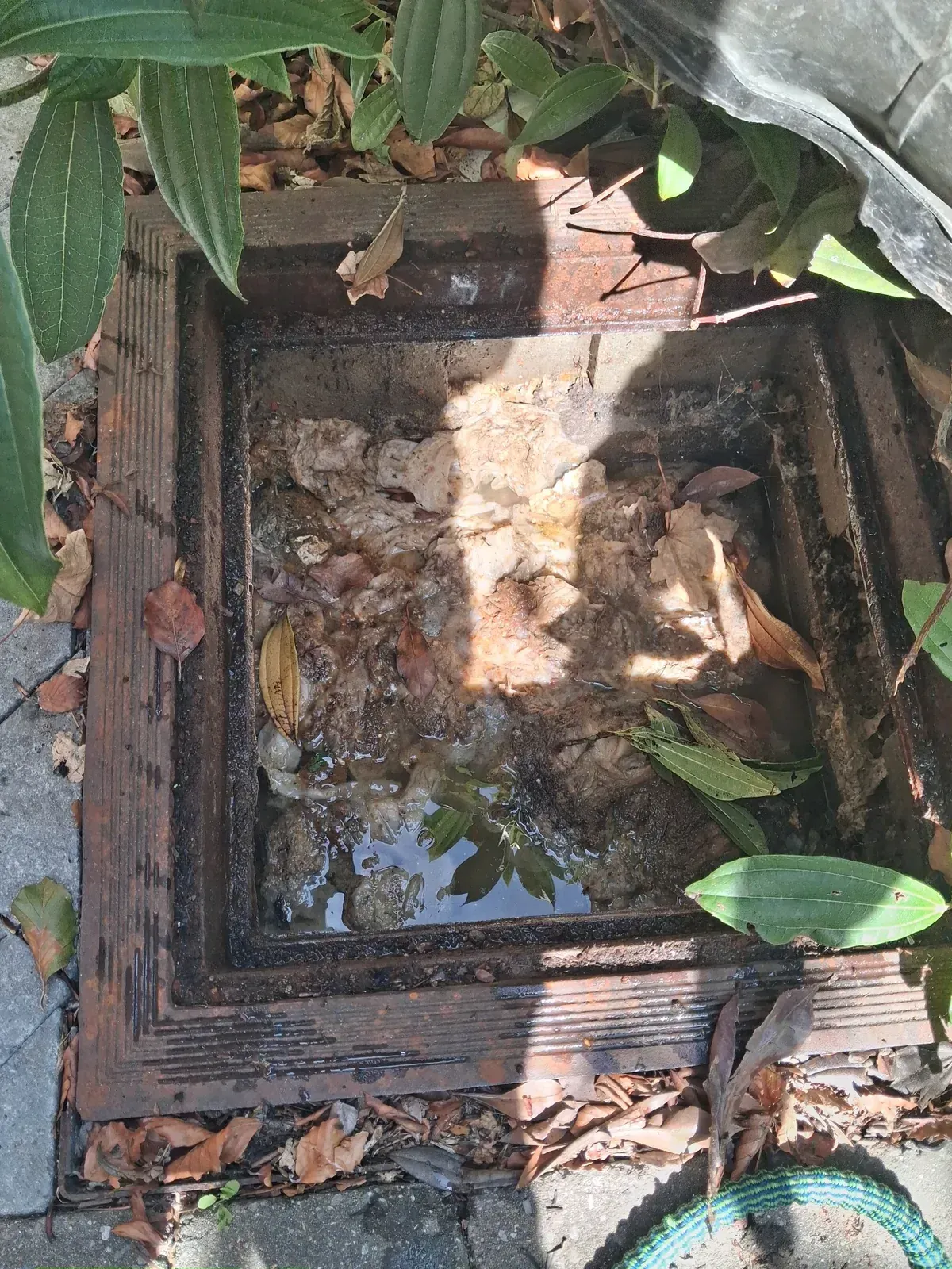 Canalisation bouchée avec dépôts et eau stagnante