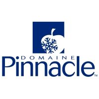 Le logo du domaine pinnacle est une pomme bleue avec un flocon de neige dessus.