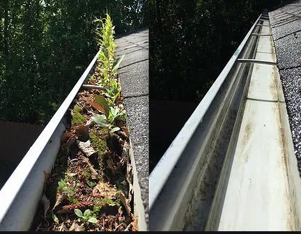 Don't let your gutters get this bad! If you don't clean your gutters, many different and costly problems can occur over time. Avoiding the task long-term puts your home at risk for shingle damage and roof leaks that can lead to water damage on the interior in the attic, insulation, and behind walls. Gutter cleaning should be part of your home's regular maintenance. If you don't feel comfortable or safe on a ladder, call a pro like Clean Slate ProWash.