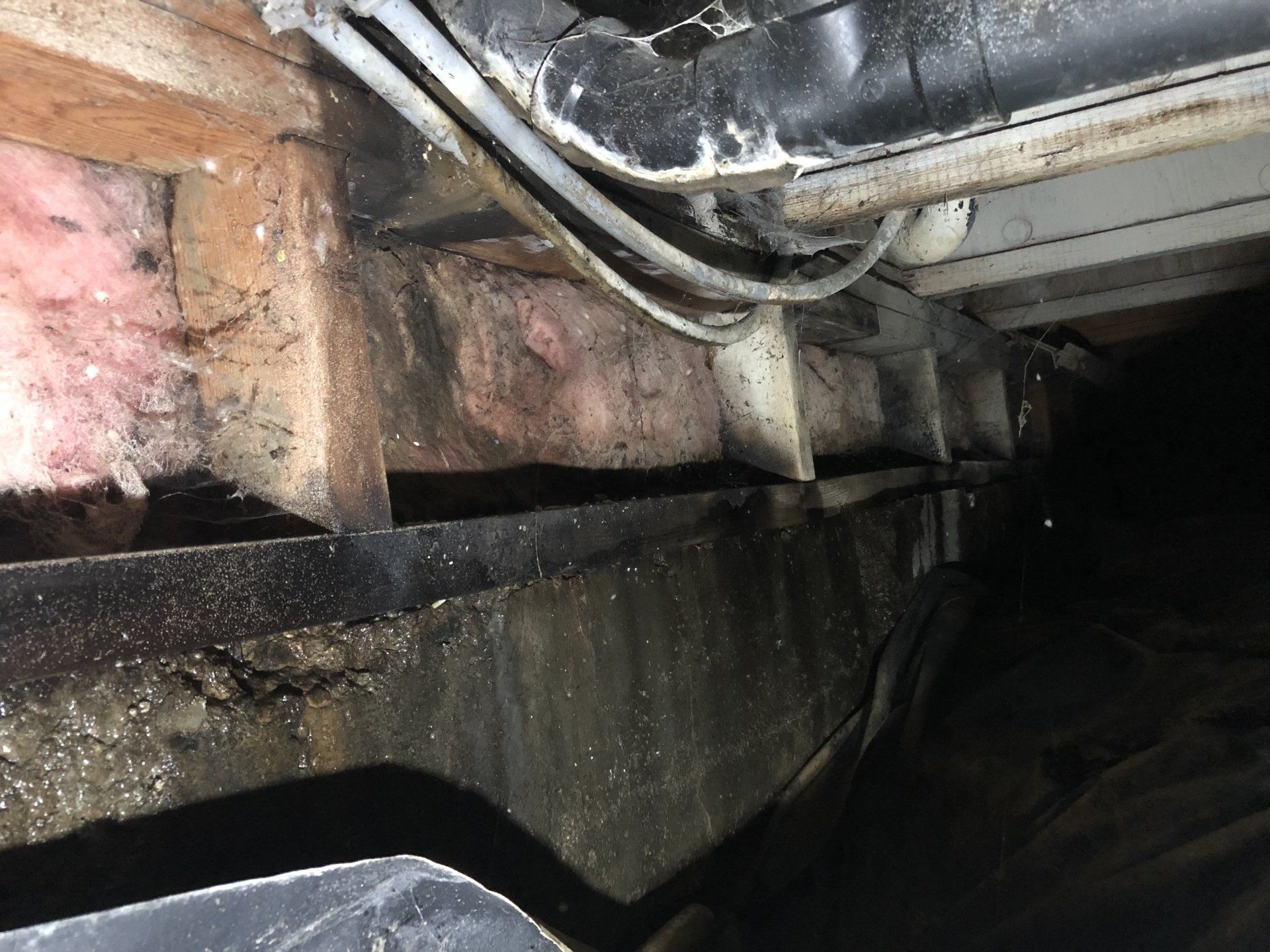 sprinkler leak — water damage restoration meridian