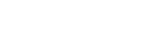 Thin horizontal light-gray bar on a white background