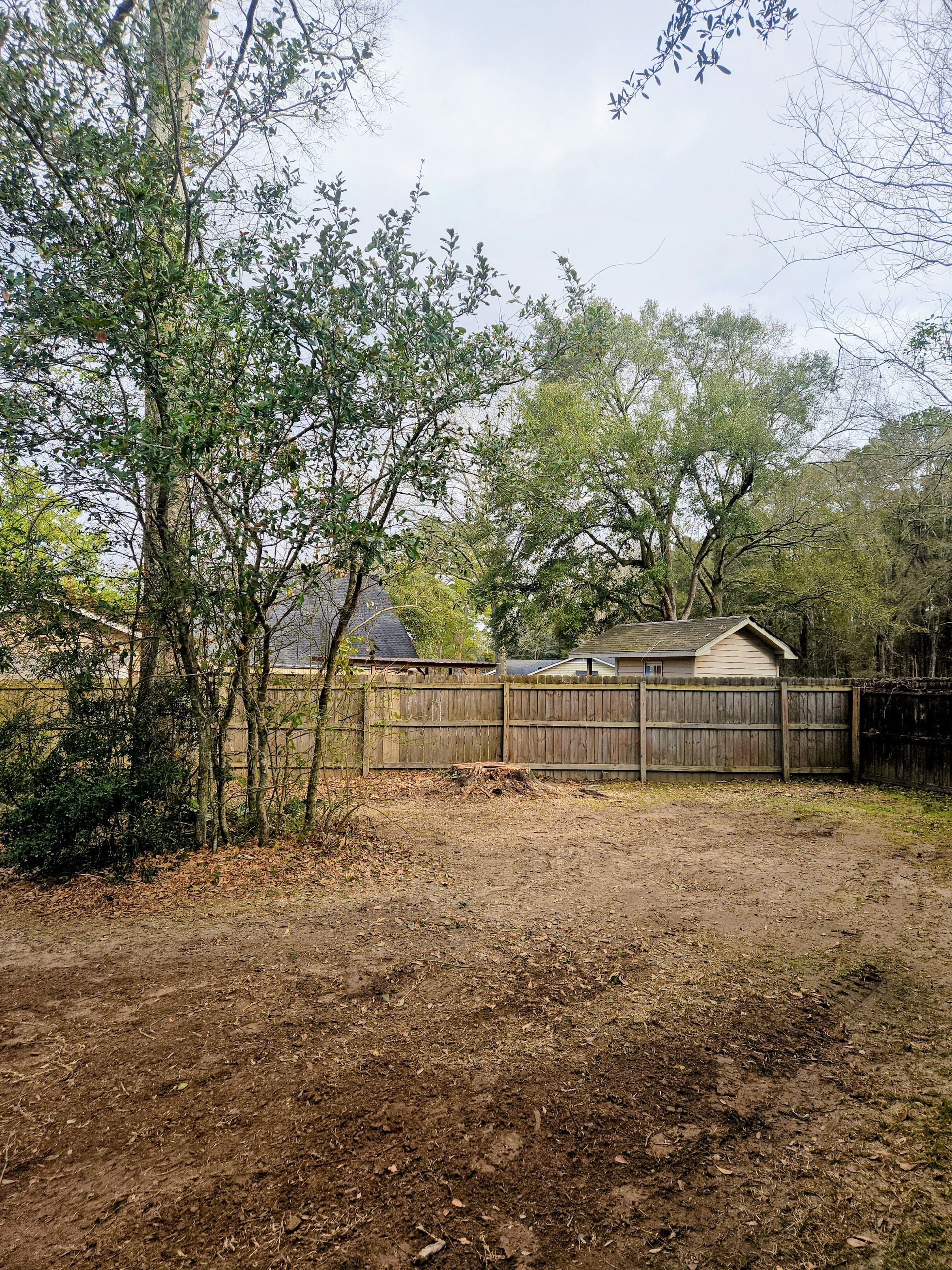 Brown yard with wooden fence, trees, and a house in the background on a cloudy day.