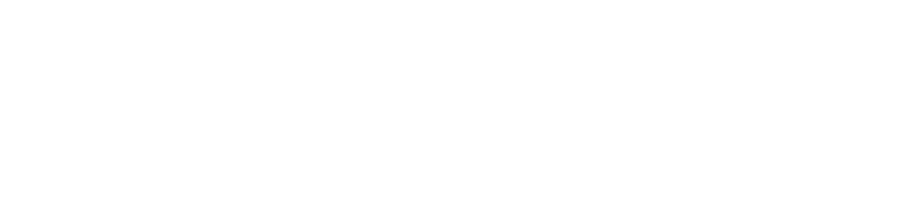 Residences at Poinciana white logo screen with a thin gray horizontal line near the top