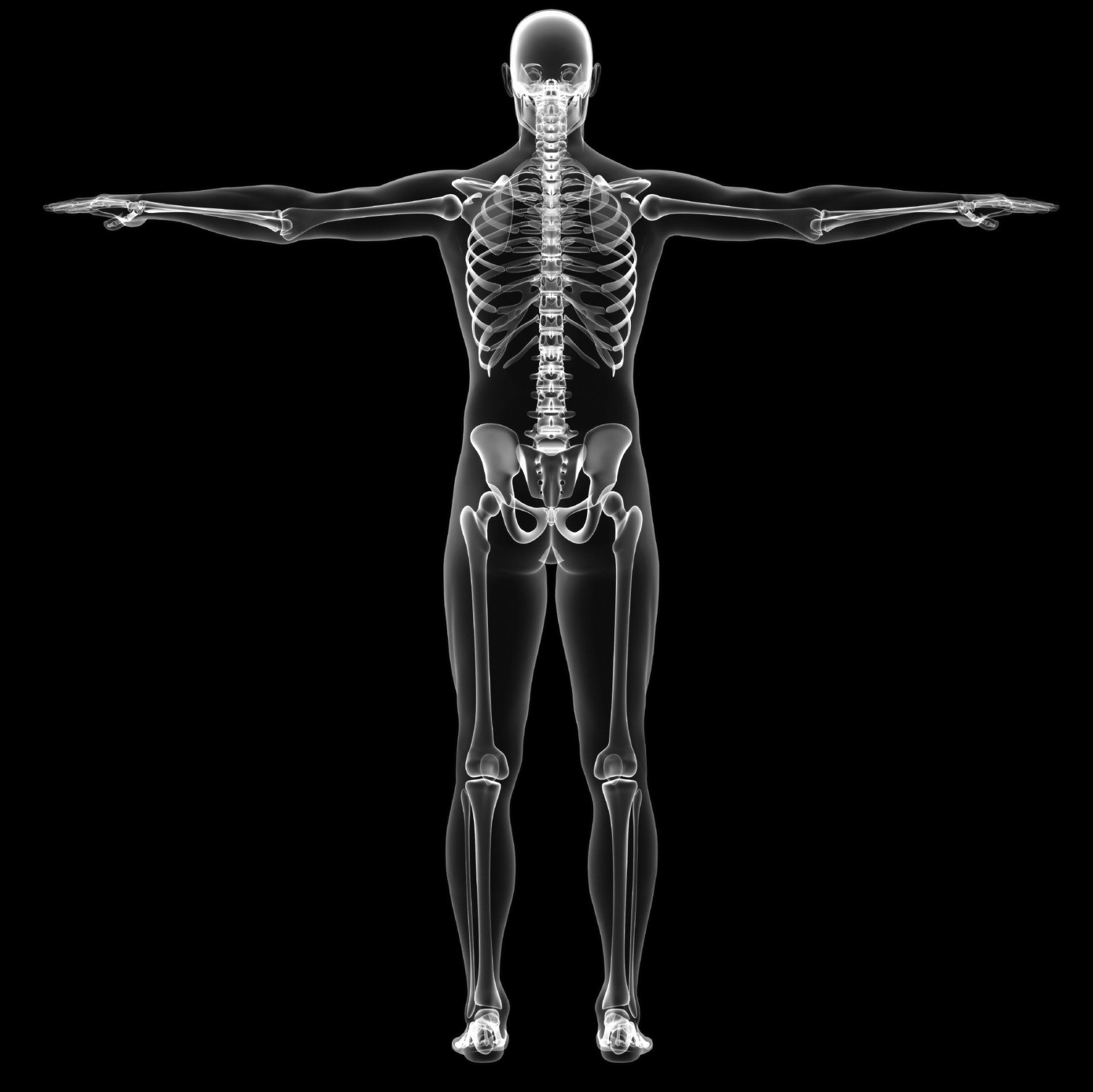 Front-facing full-body human skeleton in a T-pose on a black background.