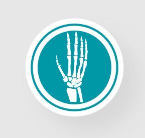 Teal circular icon with a white hand skeleton on a light gray background