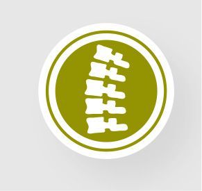 White spinal column symbol inside a green circle on a light gray background