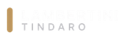 Logo TINDARO con una barra verticale dorata e scritte grigie distanziate su sfondo bianco.