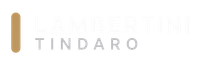 Logo TINDARO con una barra verticale dorata e scritte grigie distanziate su sfondo bianco.
