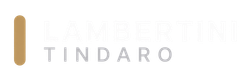 Logo TINDARO con una barra verticale dorata e scritte grigie distanziate su sfondo bianco.