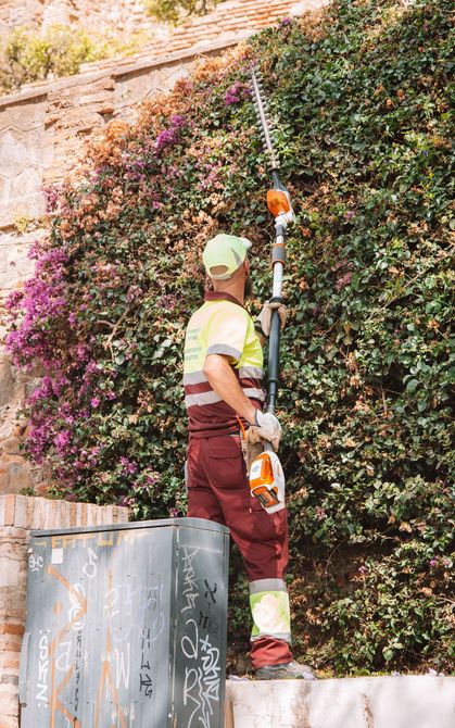 Un operaio su una piattaforma elevatrice pota un muro ricoperto di edera con un attrezzo telescopico.