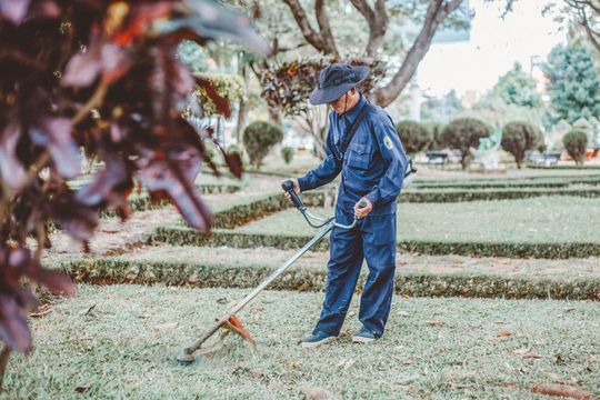 Una persona vestita di blu rastrella le foglie in un parco con sentieri erbosi e alberi.