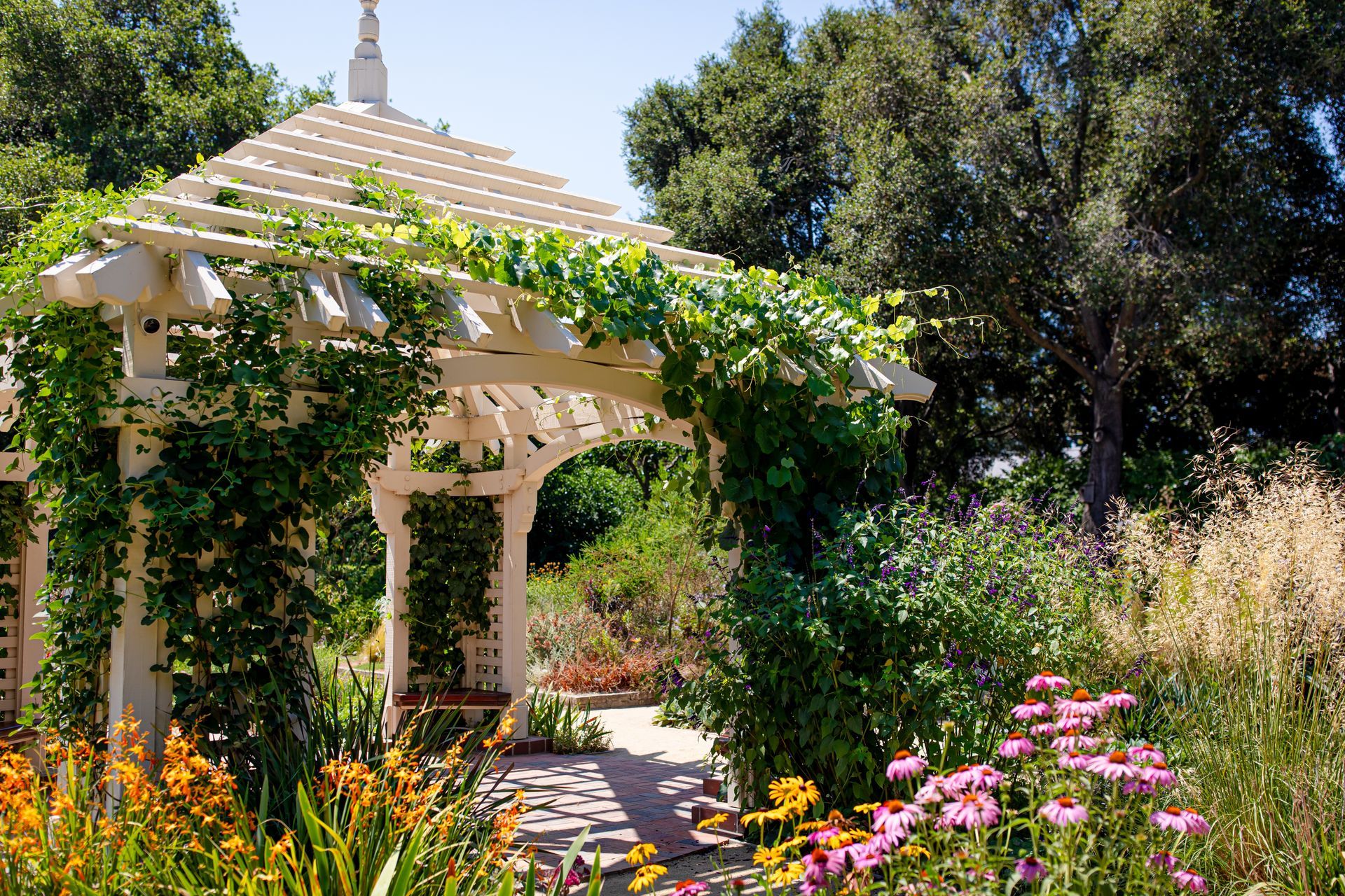 A white pergola is surrounded by flowers and trees