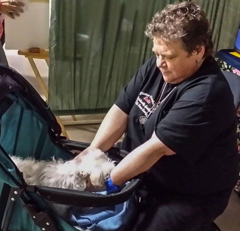 Reiki Therapy on a dog