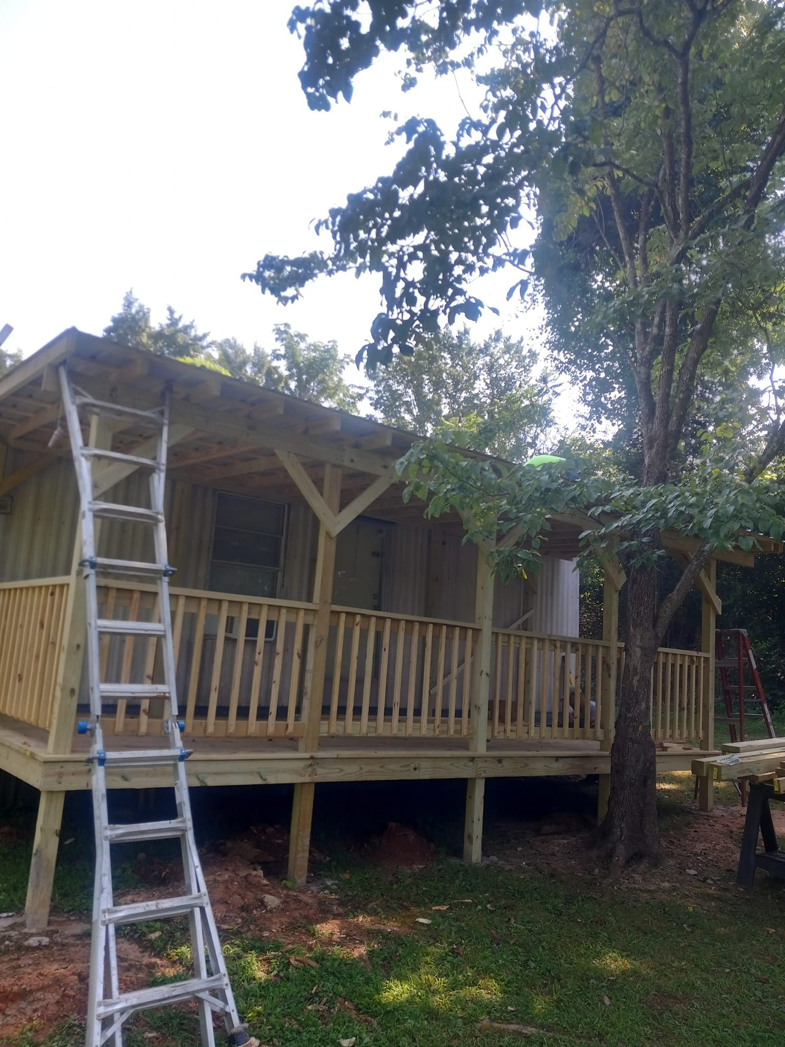 A wooden cabin under construction with a porch, surrounded by a tree and a ladder.