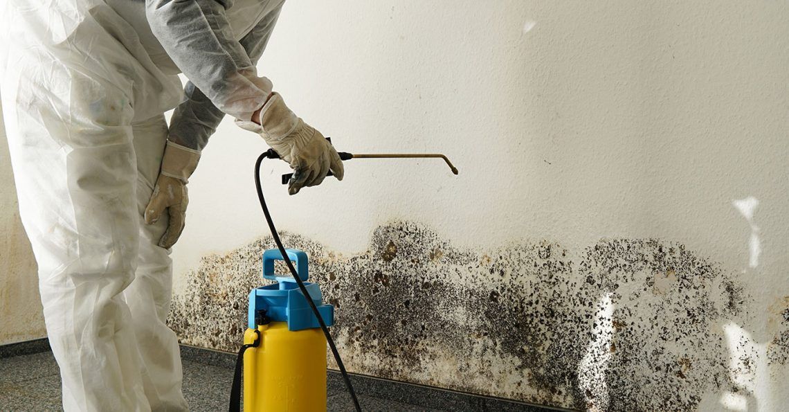Mold Remediation Services