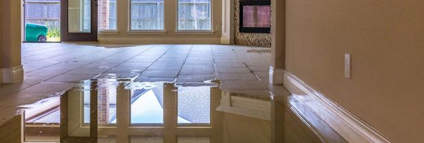 Water Damage Restoration Company
