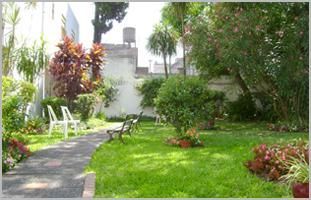 Un exuberante jardín verde con un banco y sillas.