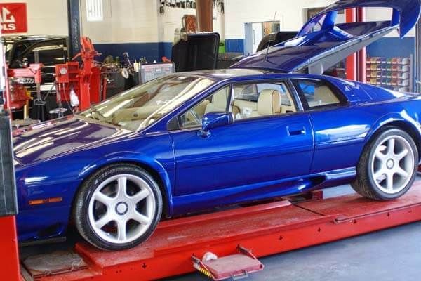 Blue Lotus | Destin Auto Centre
