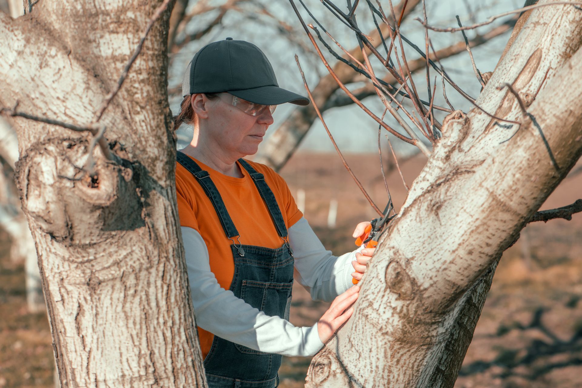 Arborist Insurance Michigan