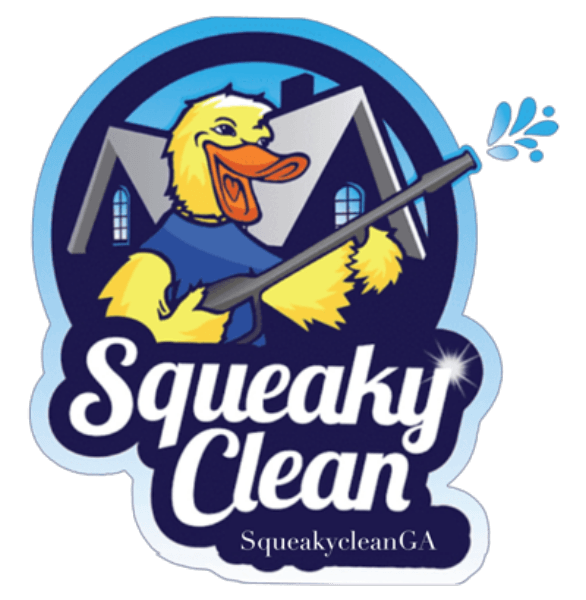 Squeaky Clean Squeaky Clean