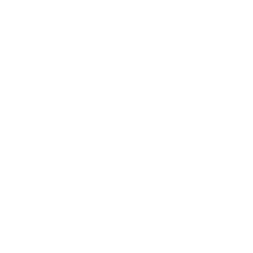 Schon Interiors logo 