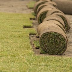 Sod Farm | Longmont, CO | Sunny Slope Sod Farm LLC
