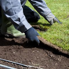 Turf Grass Producers | Longmont, CO | Sunny Slope Sod Farm LLC
