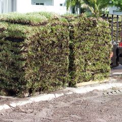 Sod Delivery | Longmont, CO | Sunny Slope Sod Farm LLC