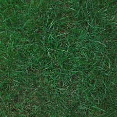 Bluegrass Producers | Longmont, CO | Sunny Slope Sod Farm LLC