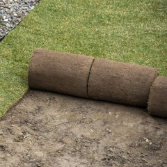 Sod Laying Services | Longmont, CO | Sunny Slope Sod Farm LLC