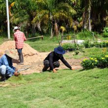 Turf Grass Removing | Longmont, CO | Sunny Slope Sod Farm LLC