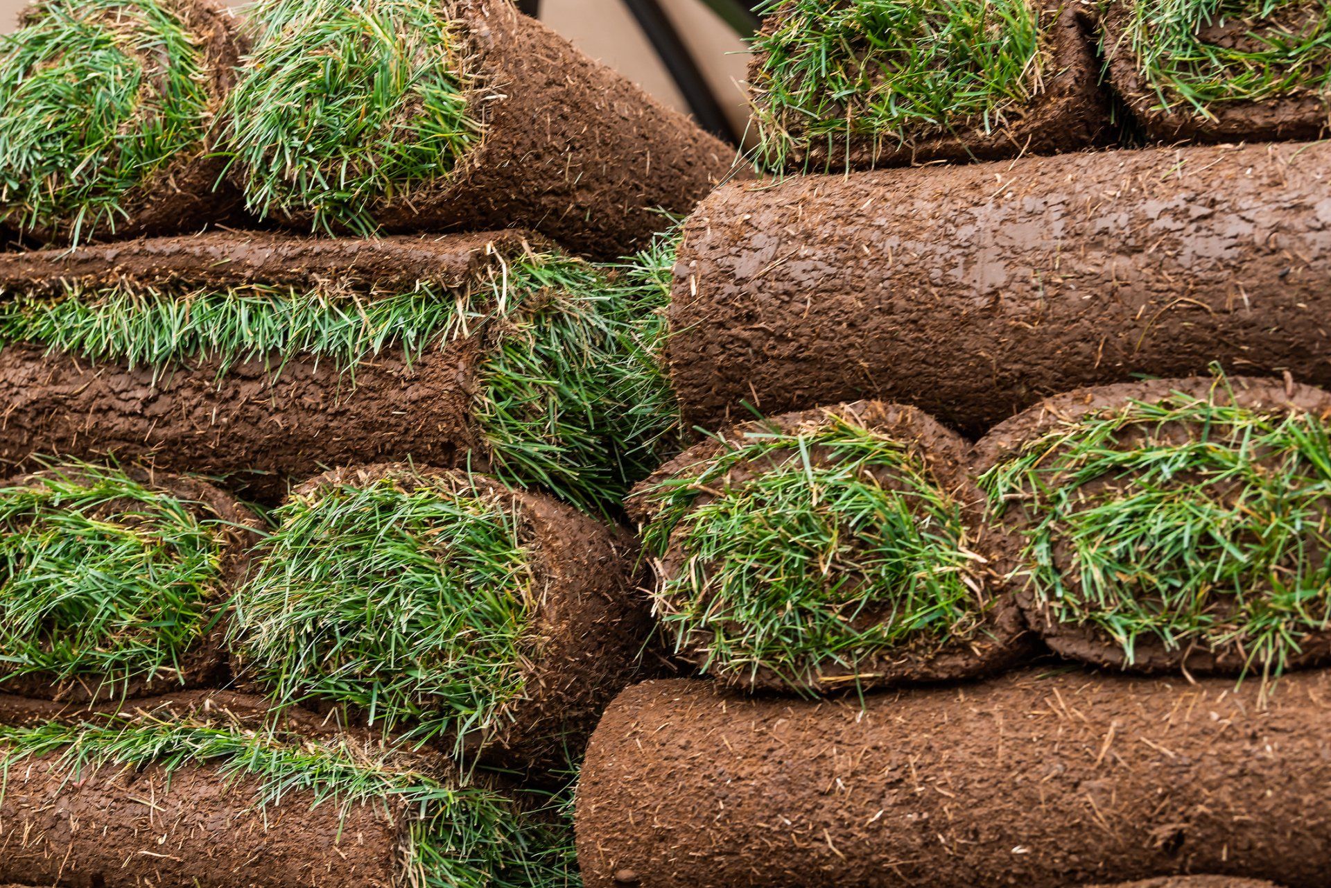 Stock of Sod | Longmont, CO | Sunny Slope Sod Farm LLC