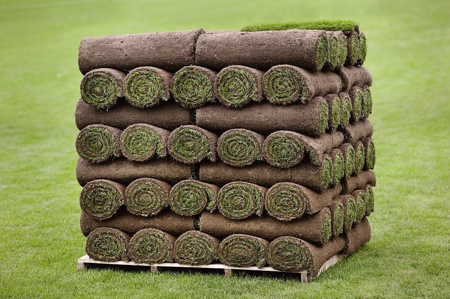 Large Pallet of Rolled Sod | Longmont, CO | Sunny Slope Sod Farm LLC