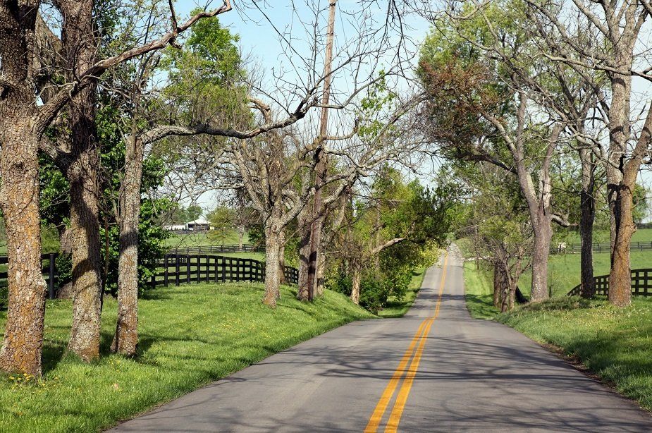 Kentucky Bluegrass Beside the Road | Longmont, CO | Sunny Slope Sod Farm LLC