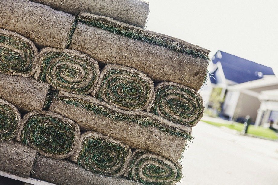 Rolls of Sod Ready for Placement in Yard | Longmont, CO | Sunny Slope Sod Farm LLC