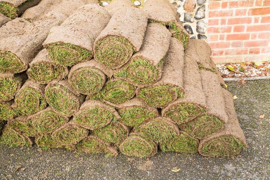 Rolls of Sod | Longmont, CO | Sunny Slope Sod Farm LLC