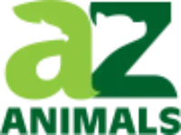 Animals A-Z  logo