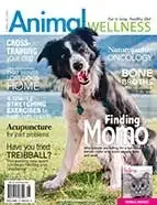 Cover of Fitness and Fun for Your Dog