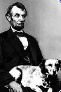 US Presidents' and their Dogs