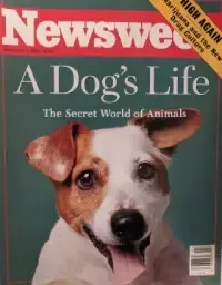 Newsweek cover with dog