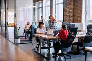 group of people working