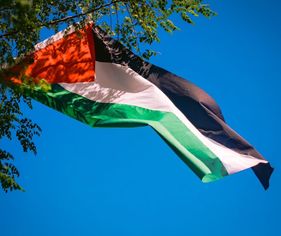 Norske leger mot atomvåpen er nå en apartheidfri sone