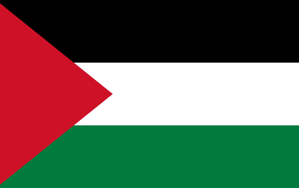 Uttalelse fra Norske leger mot atomvåpen om krigen i Gaza