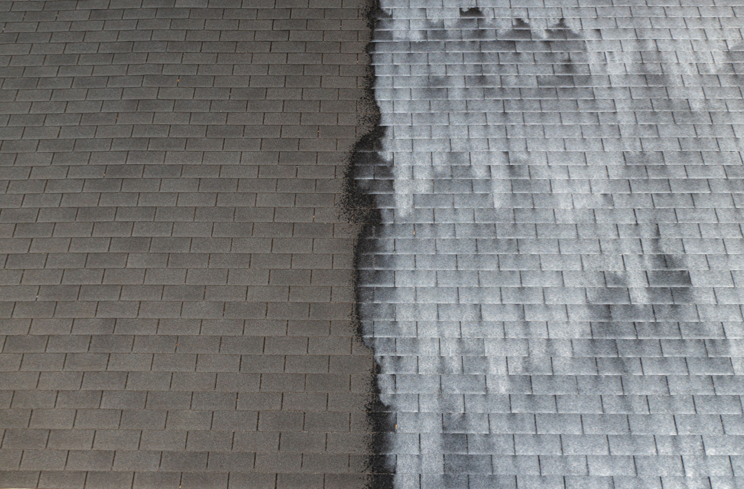 A black and white photo of a brick wall and a brick floor.