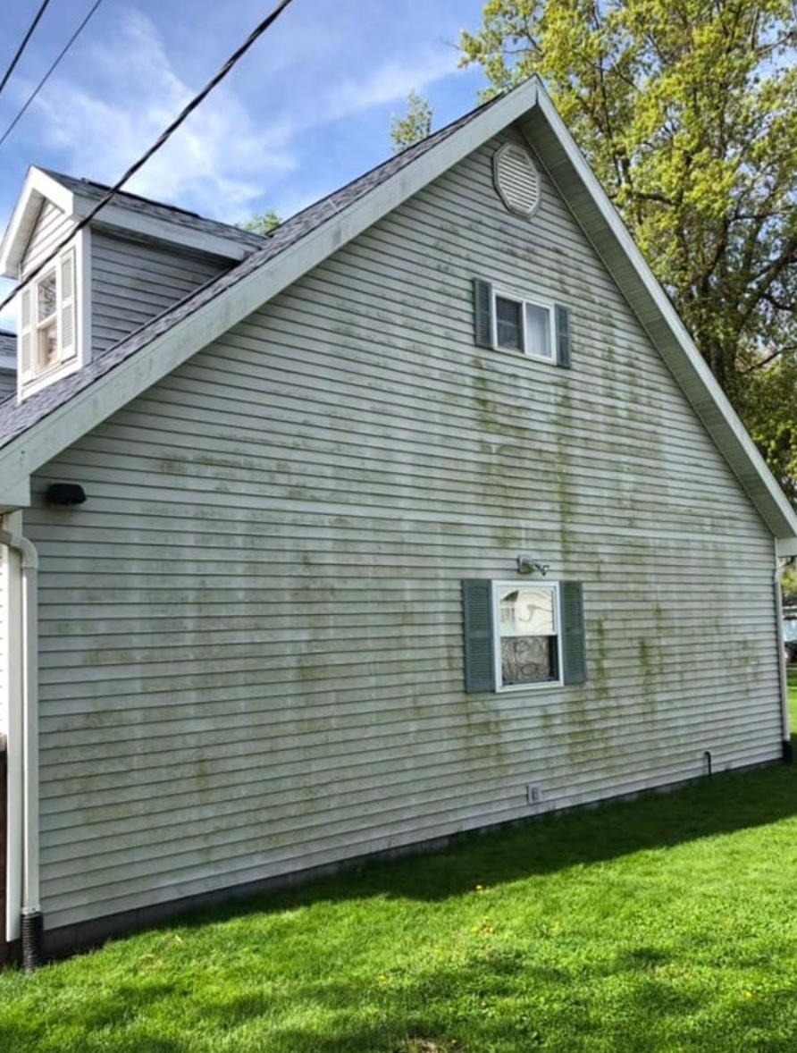 A house with a lot of green algae on the side of it.