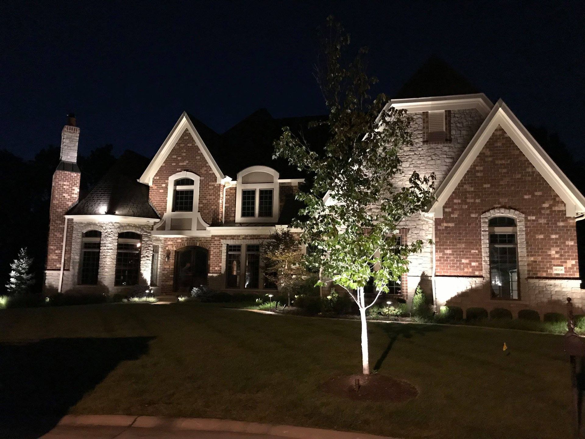 Black spotlight shining on low shrubs in a dimly lit garden path at night