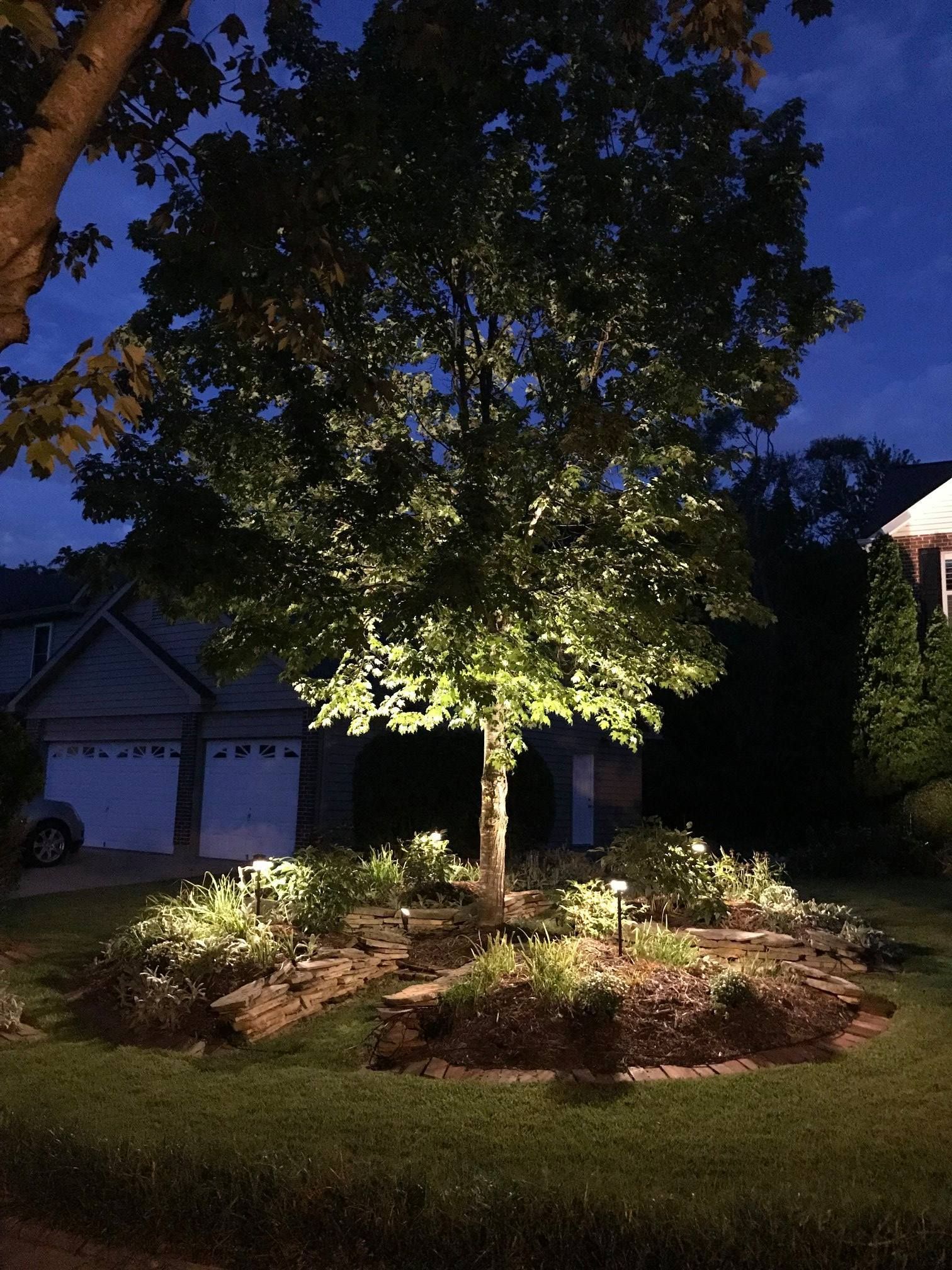 Lit tree in front yard at dusk beside a house and garage, with a landscaped mulch bed.